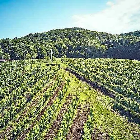 Vinopresso Gmbh - Cafe Roemer * 布里赫森斯塔德